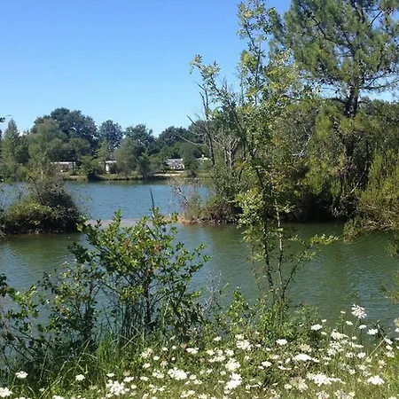 Mobil Pour 6 Personnes Avec Terrasse - Api-1-52-390